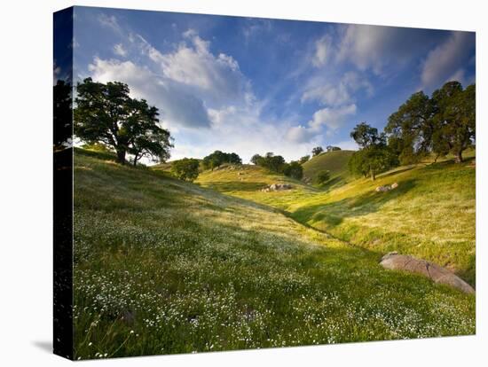 Rolling Green Hills of Central California No.3-Ian Shive-Premier Image Canvas