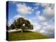 Rolling Green Hills of Central California No.5-Ian Shive-Premier Image Canvas