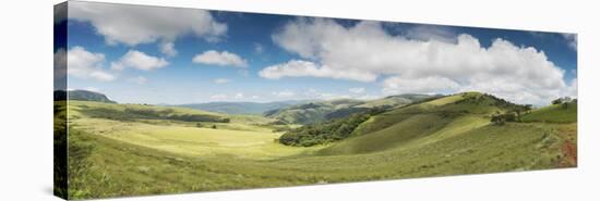 Rolling hills of the Wolkberg Conservancy, Tzaneen, Limpopo Province, South Africa-null-Premier Image Canvas