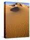 Rolling Orange Sand Dunes and Sand Ripples in the Erg Chebbi Sand Sea Near Merzouga, Morocco-Lee Frost-Premier Image Canvas