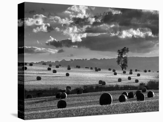 Rolls of Hay-Martin Henson-Premier Image Canvas