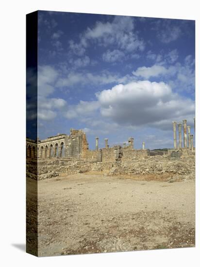 Roman City of the 3rd Century, Volubilis, Unesco World Heritage Site, Morocco, North Africa, Africa-Tony Gervis-Premier Image Canvas