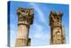 Roman Corinthian Capital, Utica Punic and Roman Archaeological Site, Tunisia, North Africa-Nico Tondini-Premier Image Canvas