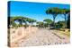 Roman Decumanus, Ostia Antica archaeological site, Ostia, Rome province, Latium (Lazio), Italy-Nico Tondini-Premier Image Canvas