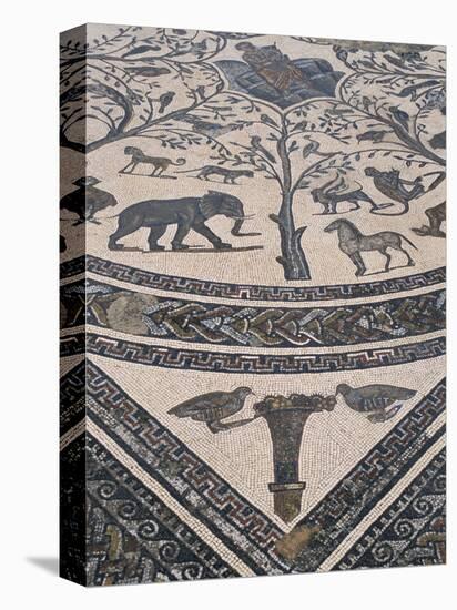 Roman Floor Mosaic, Archaeological Site of Volubilis, Unesco World Heritage Site, Morocco-R H Productions-Premier Image Canvas