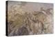 Roman Mosaic, Battle Between Alexander and Darius, from Pompeii House of the Faun-Eleanor Scriven-Premier Image Canvas