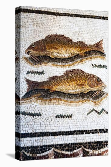 Roman Mosaic with Fish Swimming, Carthage, Tunis, Tunisia, North Africa-Nico Tondini-Premier Image Canvas