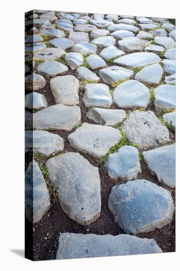 Roman Road Close to Arch of Constantine, Arco Di Costantino, Rome, Latium, Italy-Nico Tondini-Premier Image Canvas