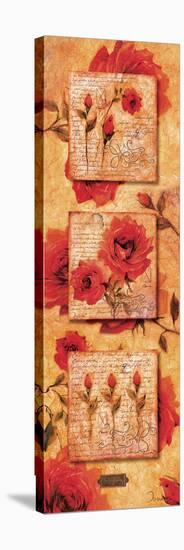 Roman Rose Gallery-Letitia-Joadoor-Stretched Canvas