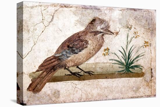 Roman wall painting of Jay from Boscoreale near Pompeii, 1st century-Unknown-Premier Image Canvas