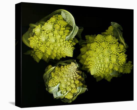 Romanesco Vegetable Fractal-null-Stretched Canvas