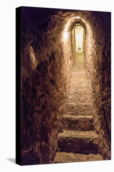 Romania. Bran. Castle Bran interior secret passageway.-Emily Wilson-Premier Image Canvas