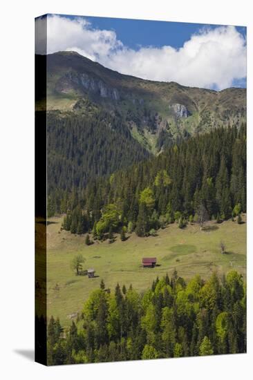 Romania, Maramures Region, Rodna Mountains NP, Prislop Pass, Landscape-Walter Bibikow-Premier Image Canvas