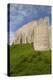 Romania, Moldavia, Targu Neamt, Neamt Citadel, 14th Century, Exterior-Walter Bibikow-Premier Image Canvas