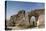 Romania, Sarichioi, Ruins of Cetatea Heracleea de La Enisala Fortress-Walter Bibikow-Premier Image Canvas