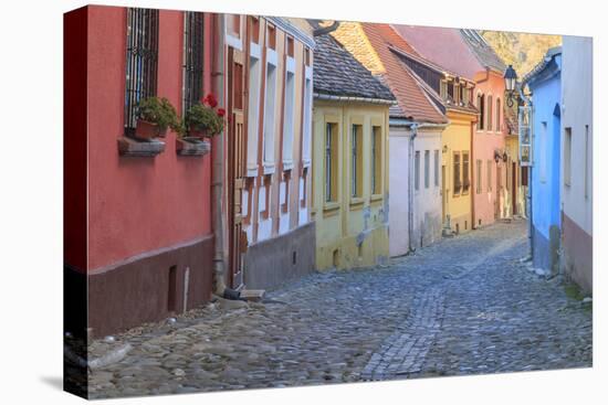Romania, Sighisoara, cobblestone residential street of colorful houses in village.-Emily Wilson-Premier Image Canvas