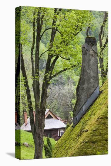 Romania, Transylvania, Bran, Bran Castle, Grass Covered Farm Buildings-Walter Bibikow-Premier Image Canvas