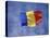 Romanian National Flag, Romania-Dave Bartruff-Premier Image Canvas