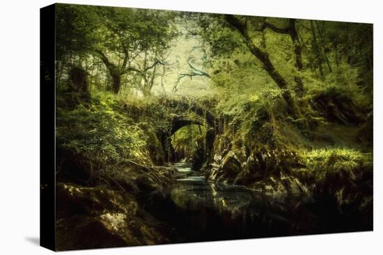 Romantic English Landscape-Mark Gemmell-Premier Image Canvas