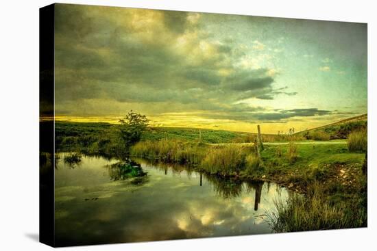 Romantic Rural Scene in England-Mark Gemmell-Premier Image Canvas