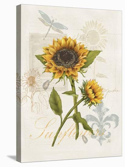 Romantic Sunflower II-Jade Reynolds-Stretched Canvas