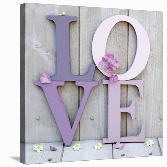 Romantique Violette-Amelie Vuillon-Stretched Canvas