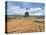 Rooftops and Cusco Cathedral, Cusco, Peru-Miva Stock-Premier Image Canvas