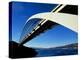 Roosevelt Lake Bridge, Arizona, USA-null-Premier Image Canvas