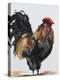 Rooster 1-Renee Gould-Premier Image Canvas