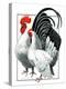 Rooster and Chicken-C.R. Patterson-Premier Image Canvas