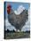 Rooster and Clouds-Barry Wilson-Premier Image Canvas