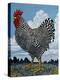 Rooster and Clouds-Barry Wilson-Premier Image Canvas