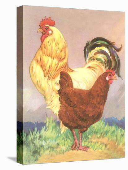 Rooster and Hen-null-Stretched Canvas