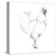 Rooster II Dark Square-Avery Tillmon-Stretched Canvas