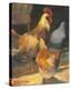 Rooster II-Allayn Stevens-Stretched Canvas
