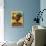Rooster-Anderson Design Group-Stretched Canvas displayed on a wall