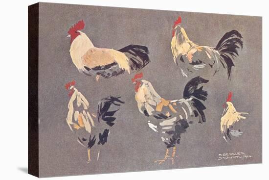 Roosters and Hens-null-Stretched Canvas