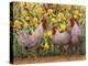 Roosters en Place II-Marcia Matcham-Stretched Canvas