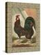 Roosters V-Cassel-Stretched Canvas