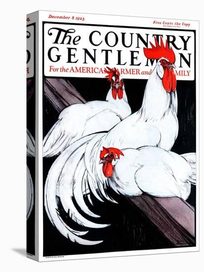 "Roosting Rooster and Hens," Country Gentleman Cover, December 8, 1923-Paul Bransom-Premier Image Canvas