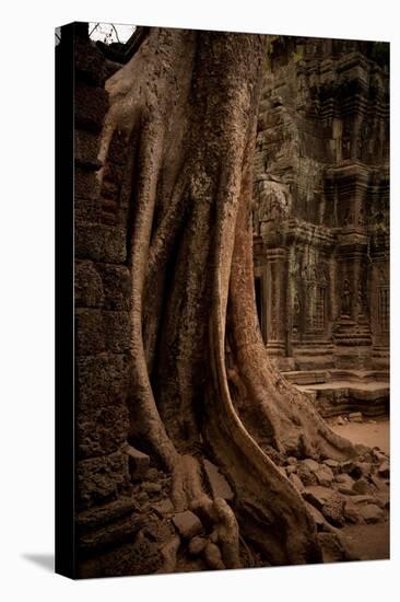 Roots and Ruins I-Erin Berzel-Premier Image Canvas