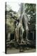 Roots of a Kapok Tree-Diccon Alexander-Premier Image Canvas
