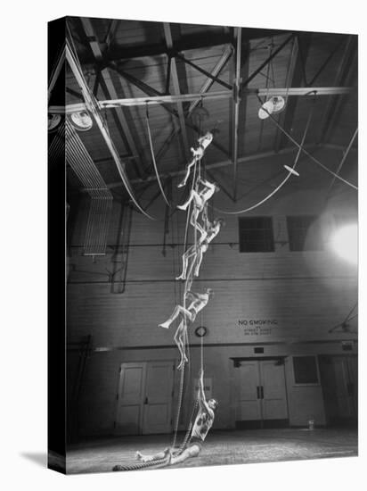Rope Climber Garvin Smith Showing His Technique of Climbing-Peter Stackpole-Premier Image Canvas