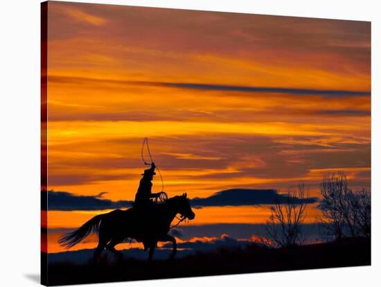 Ropin' at Sunset-Bobbie Goodrich-Stretched Canvas