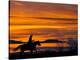 Ropin' at Sunset-Bobbie Goodrich-Stretched Canvas