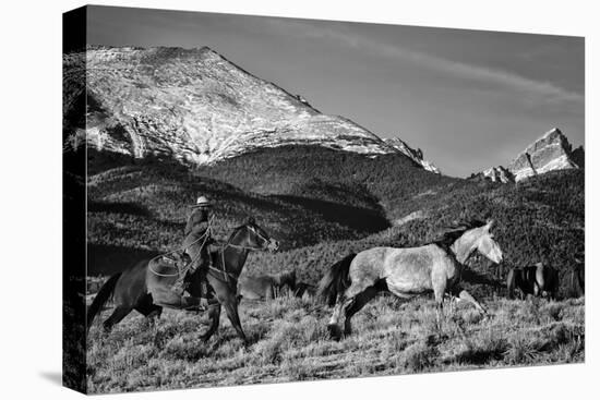 Roping the San Greys-Dan Ballard-Premier Image Canvas