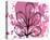 Rose Abstract Brush Splash Leaves-Irena Orlov-Stretched Canvas