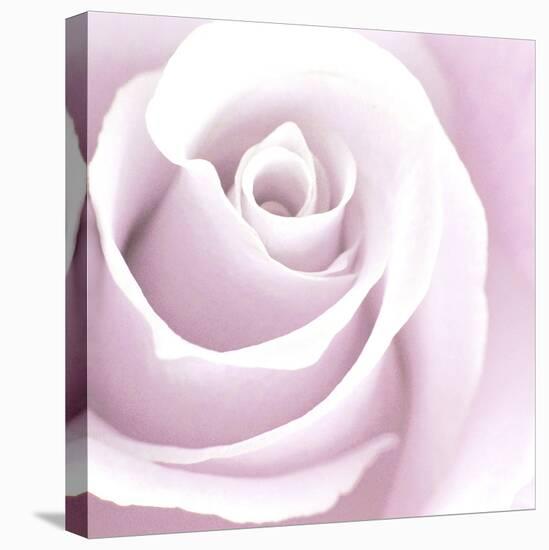 Rose Abstract-Anna Miller-Premier Image Canvas