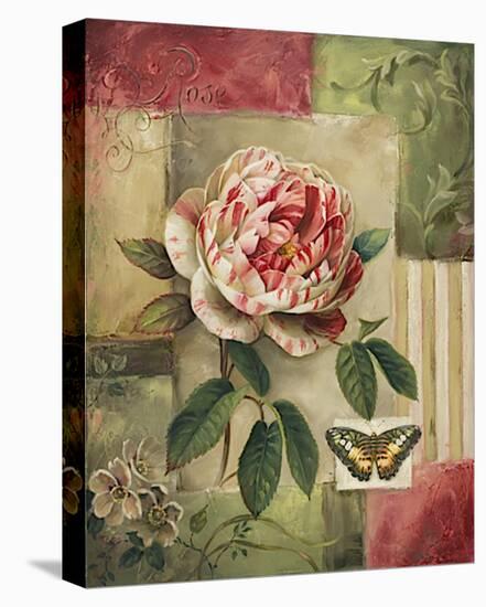 Rose and Butterfly-Lisa Audit-Stretched Canvas