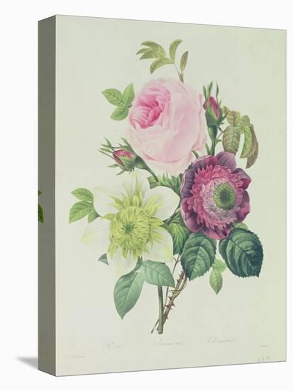 Rose, Anemone and Clematide-Pierre-Joseph Redouté-Premier Image Canvas